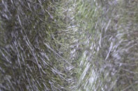 Woodhall fibreglass roof work